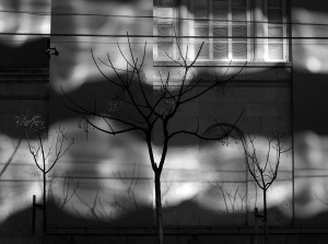 Sombras